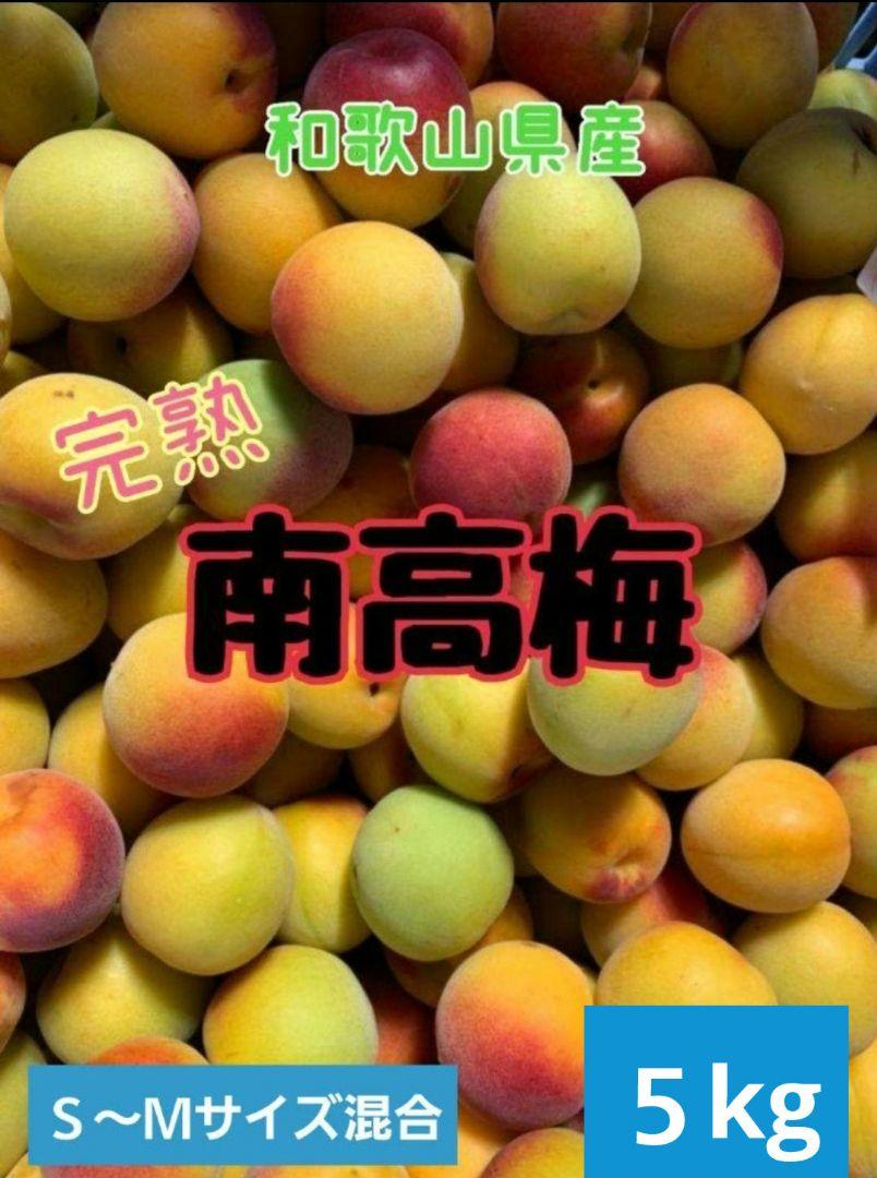 和歌山県（紀南）産 パープルキング L 5kg: お取り寄せ