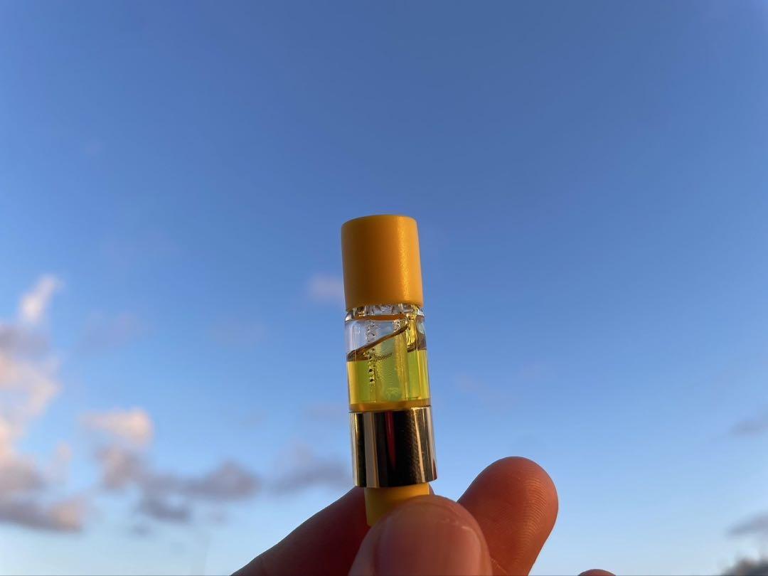 【Sativa】 Jack Herer 1ml CBD 11