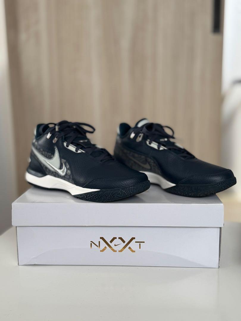 Nike ZM LEBRON NXXT GEN AMPD EP バッシュ