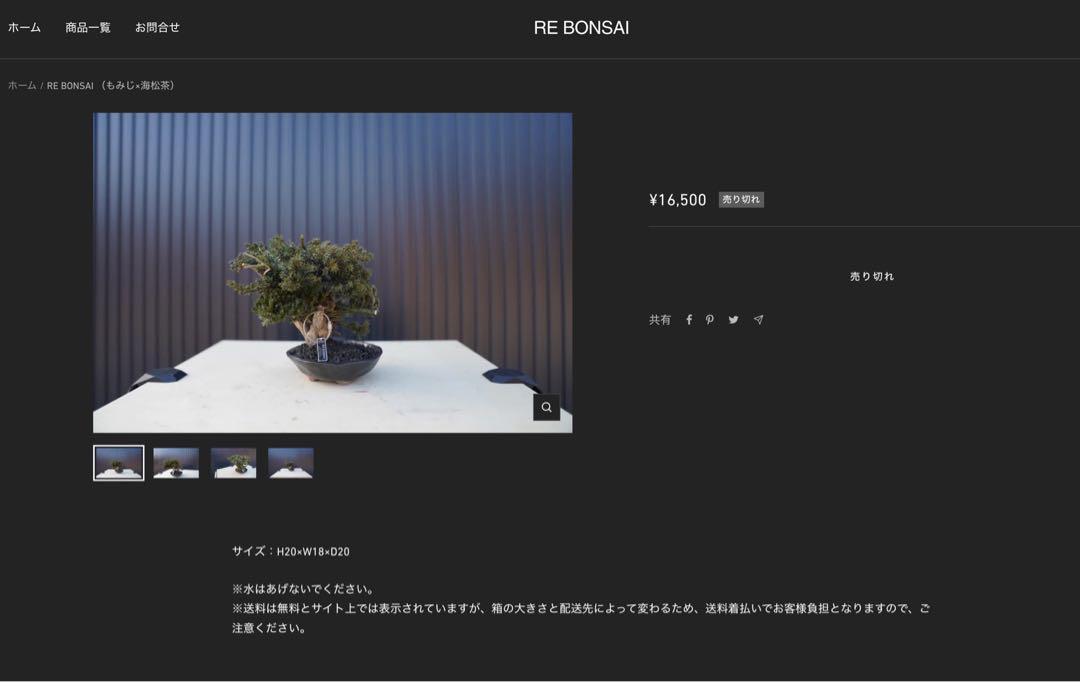 RE BONSAI （もみじ×海松茶） RE盆栽 4