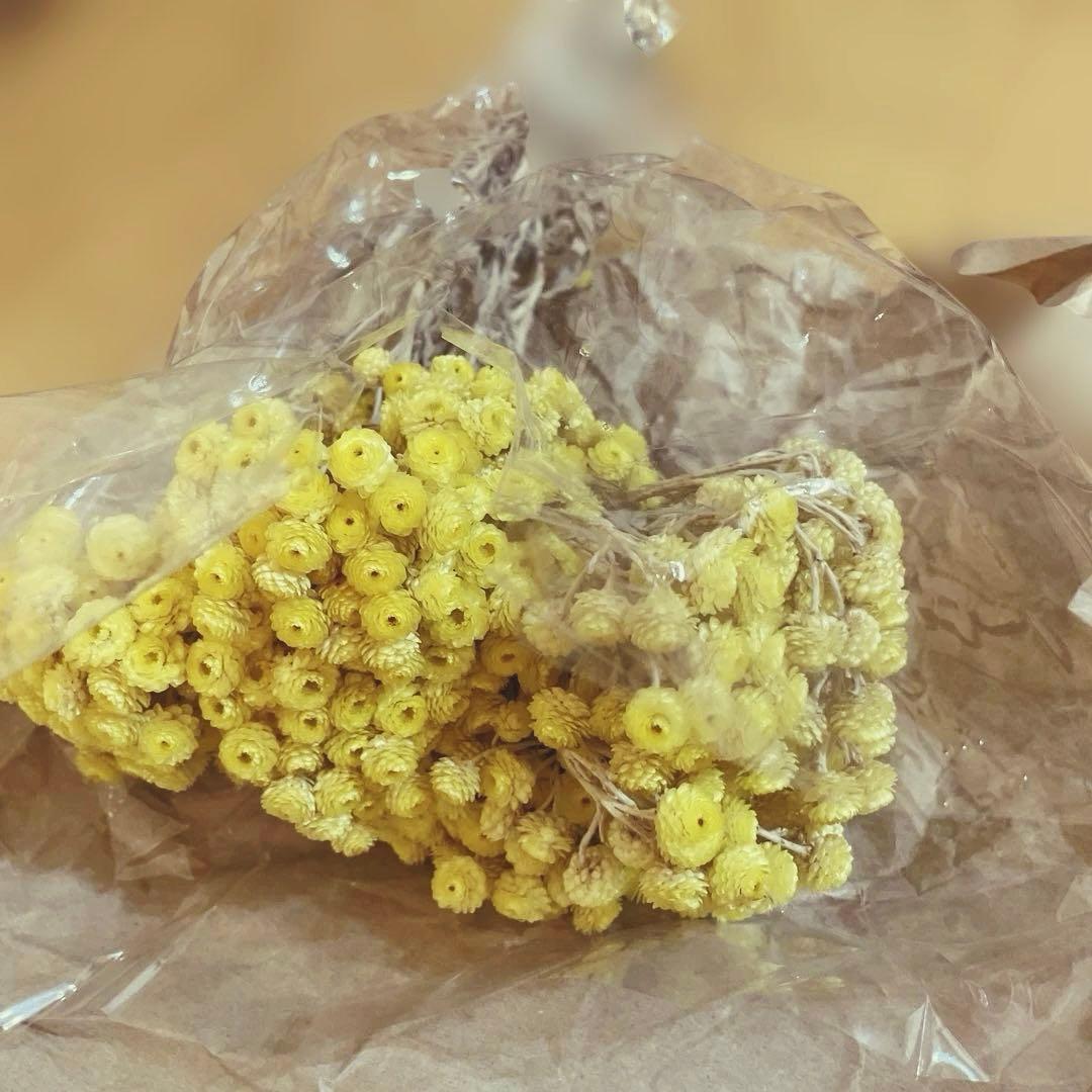 イエロー ドライフラワー