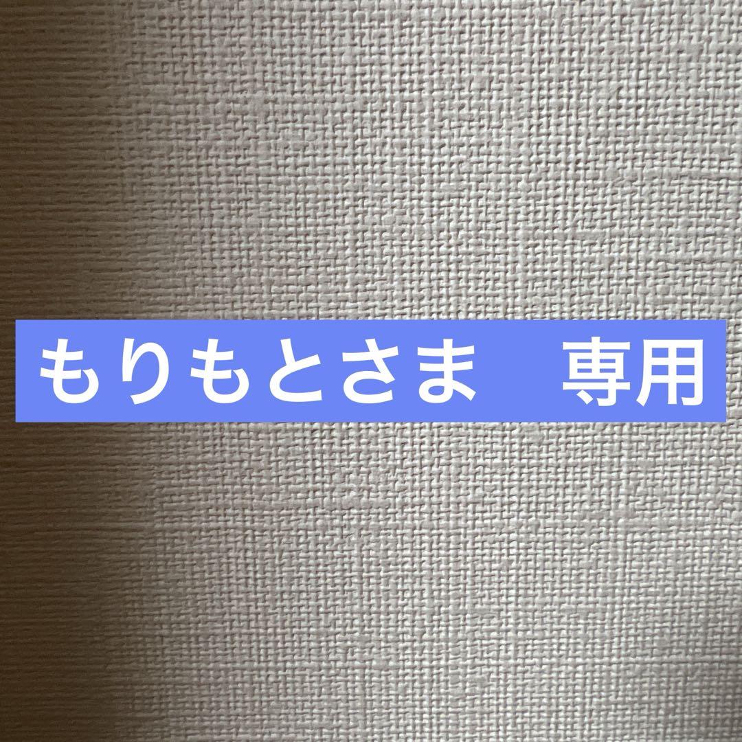 ビンドゥンドゥン 冰墩墩 オリンピック冬季競技大会北京2022