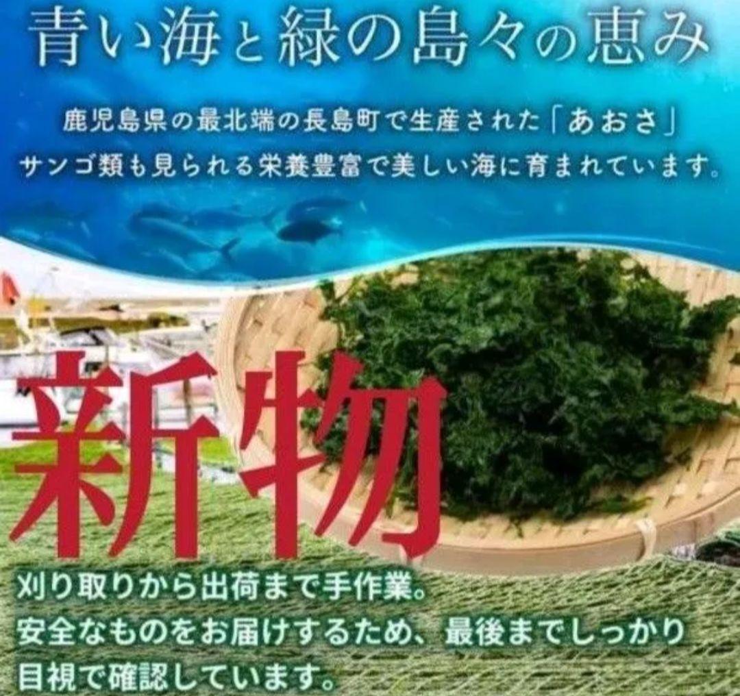 さとし 鹿児島県長島町産あおさ