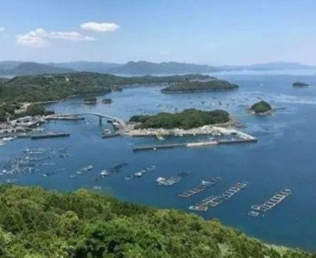 さとし 鹿児島県長島町産あおさ