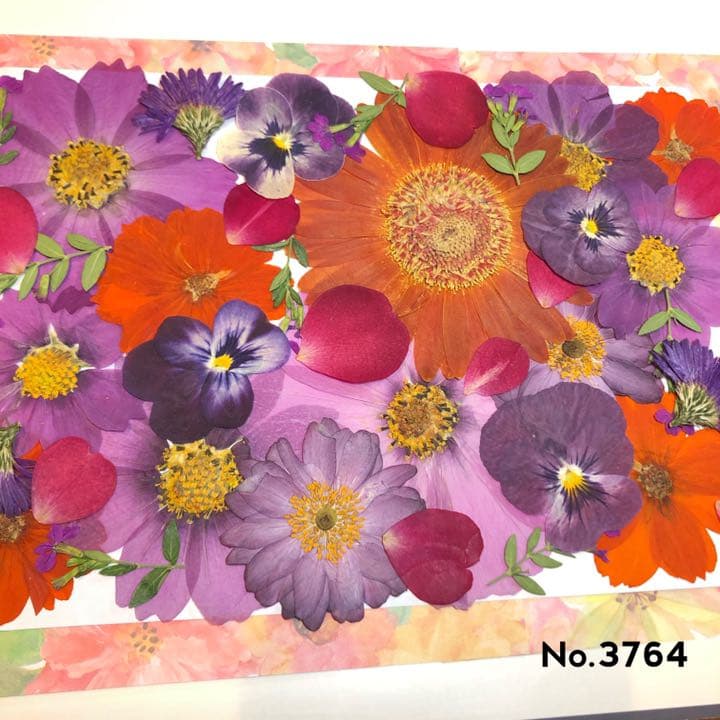 New 可愛い押し花セット たくさん入って使いやすい押し花セット メルカリ New 可愛い押し花セット たくさん入って使いやすい押し花セット メルカリ