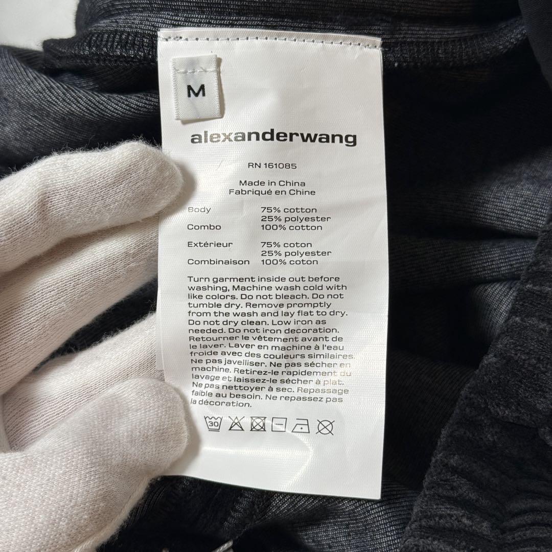 【定価8.6万】登坂広臣 アレキサンダーワン スウェットパンツ ブラック M