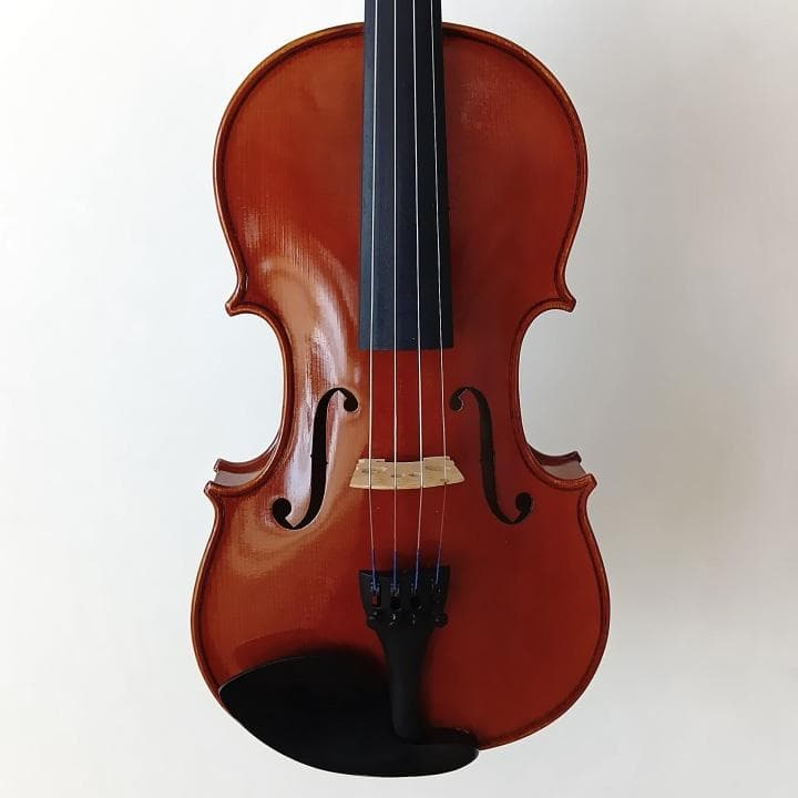 Ena バイオリンセット No.10　4/4サイズ
