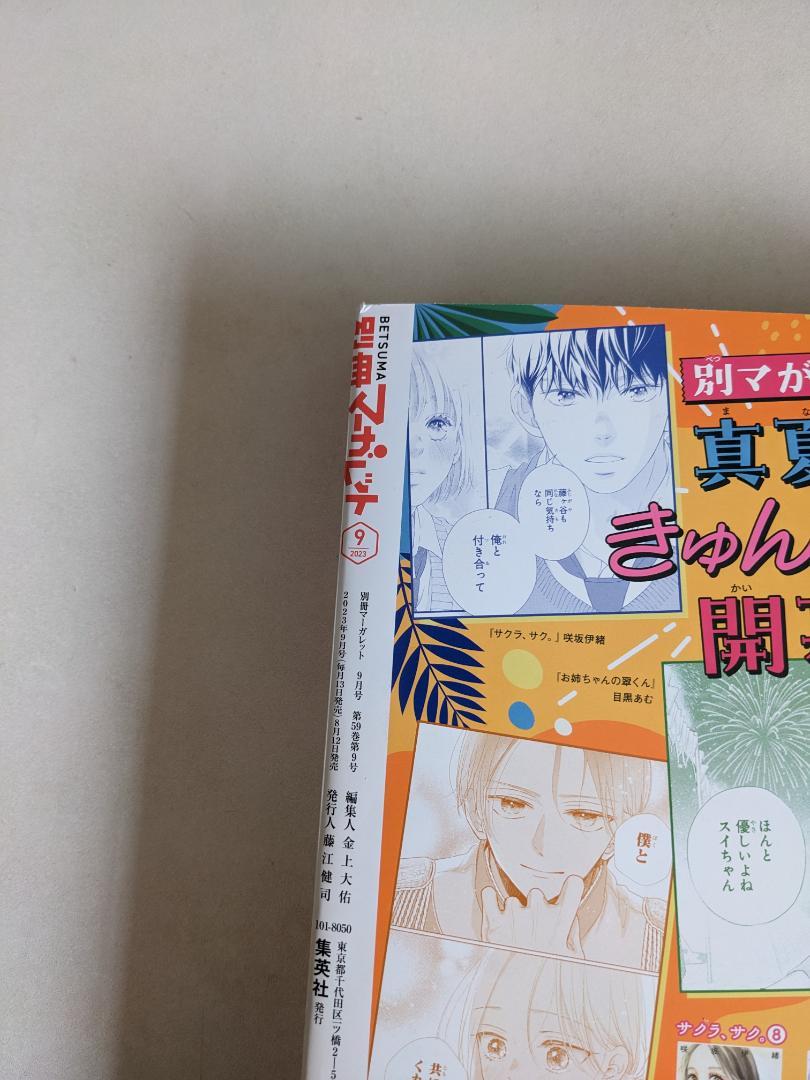 別冊マーガレット2023年5月号〜2024年4月号 本誌のみ