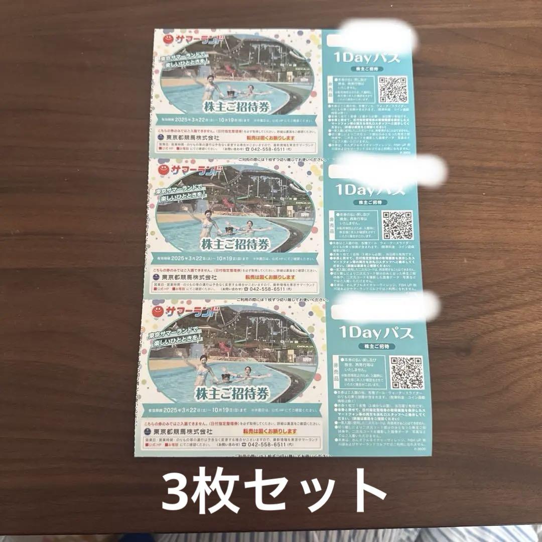 東京サマーランド　1DAYパス　3枚セット