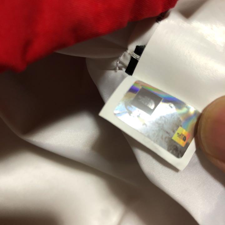 17ss supreme north face アンタークティカ パーカー　L