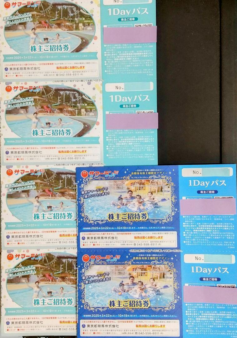 東京都競馬株主優待 サマーランド1Dayパス 6枚【送料無料 追跡可 匿名配送】