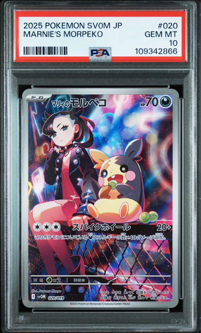 10連番 マリィのモルペコ AR PSA10 プロモ ポケモンカード