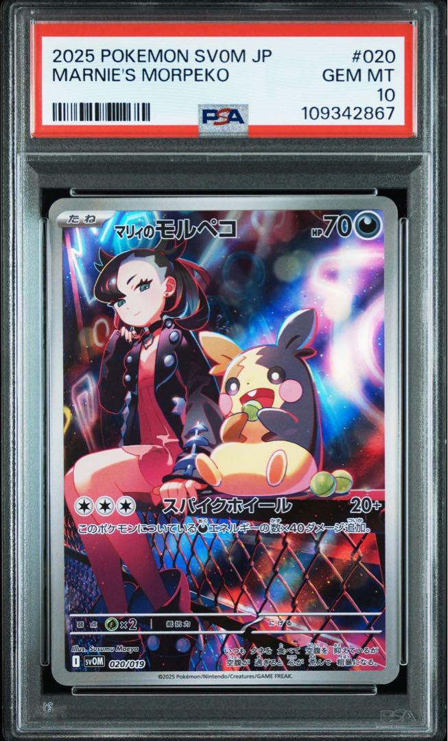 10連番 マリィのモルペコ AR PSA10 プロモ ポケモンカード