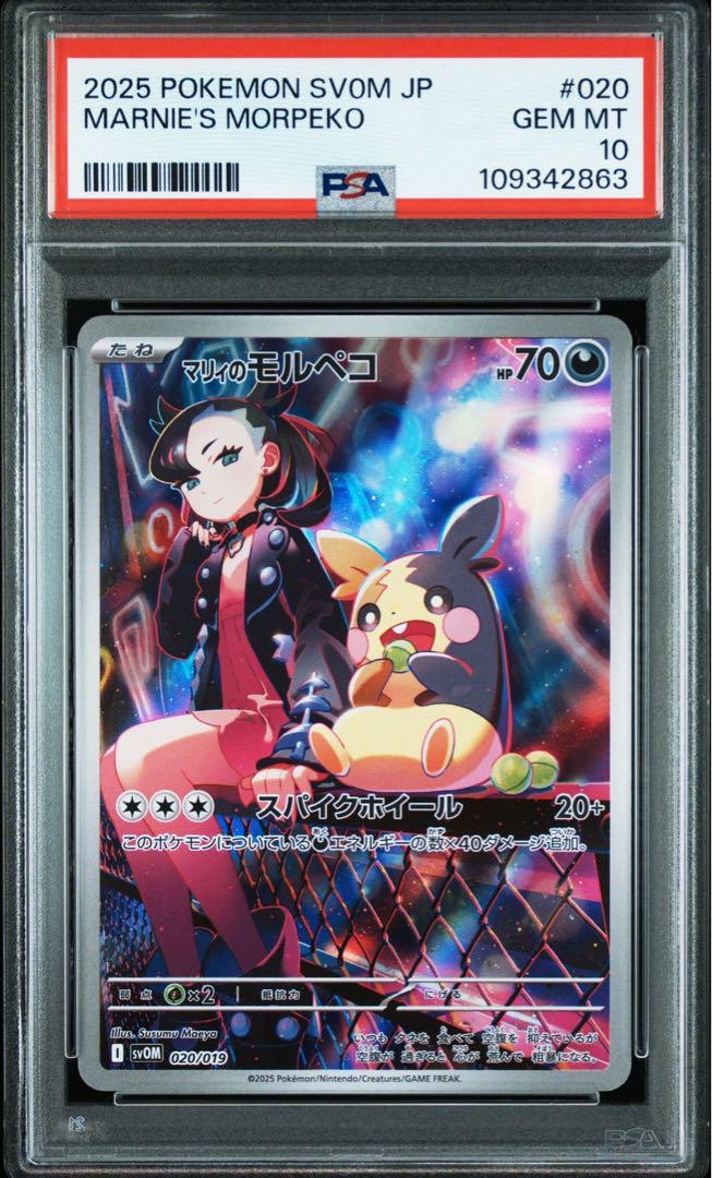 10連番 マリィのモルペコ AR PSA10 プロモ ポケモンカード