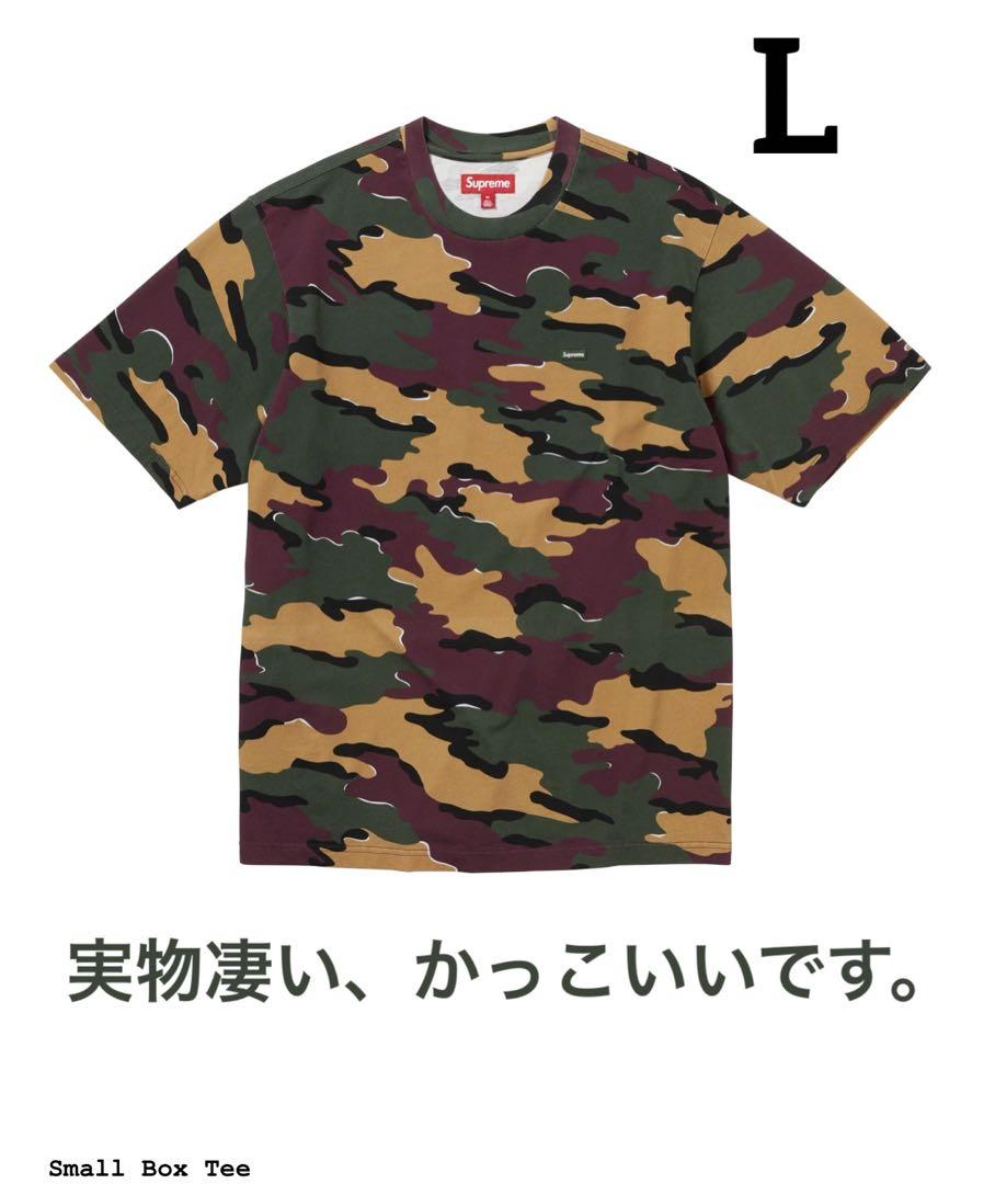 Tシャツ/カットソー(半袖/袖なし) Supreme Small Box Tee 23FW