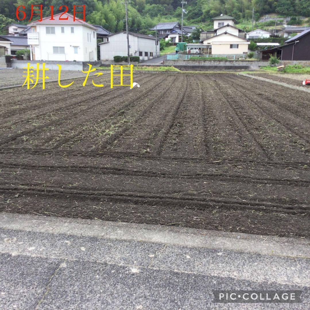 39 新米　岡山県産　農薬不使用　ヒノヒカリ　玄米10㎏