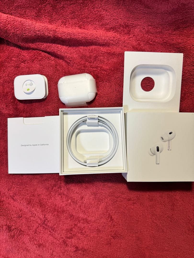 iPadPro2 超美品　黒色ケース付　充電は両耳100%