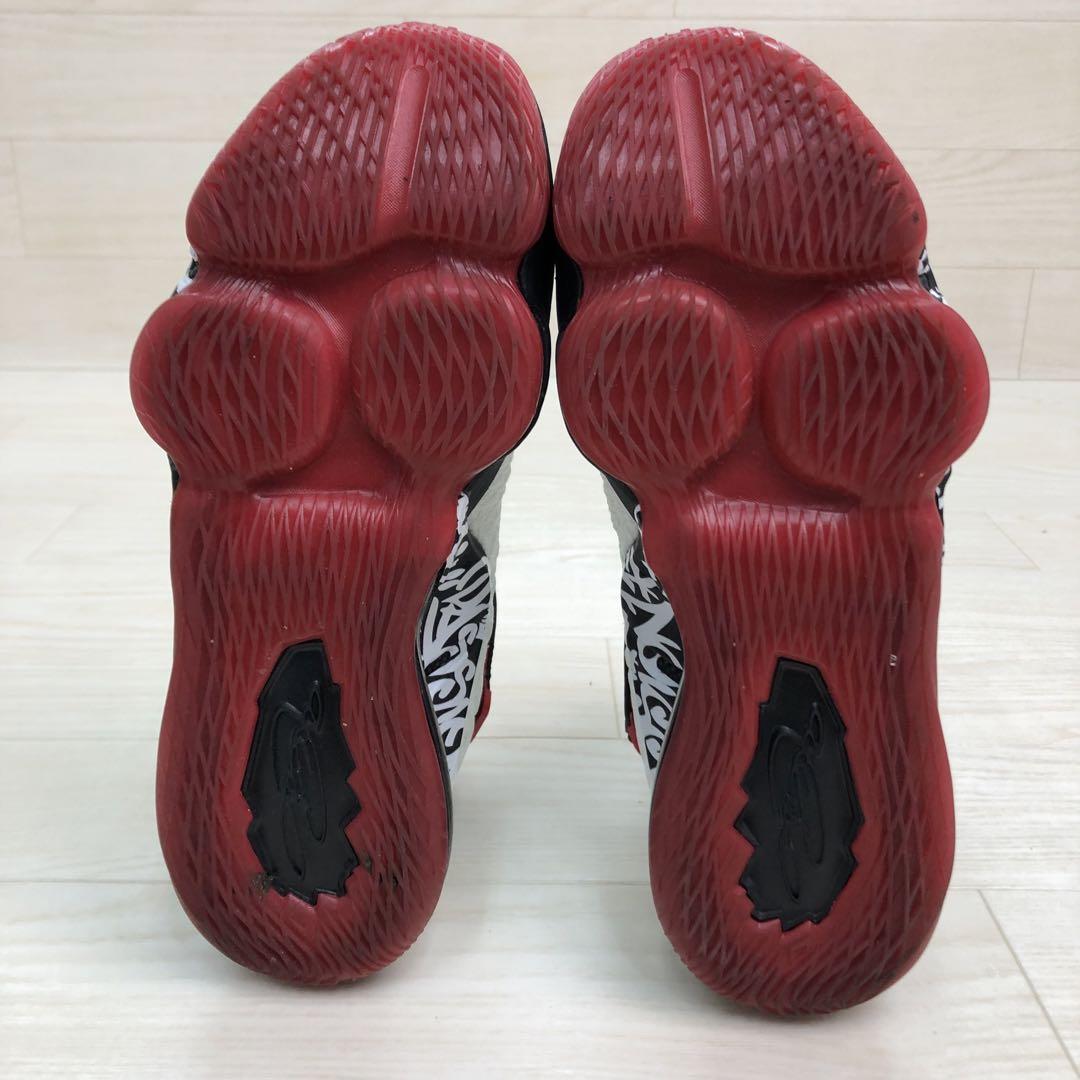 NIKE ナイキ LEBRON XVII GRAFFITI レブロン17