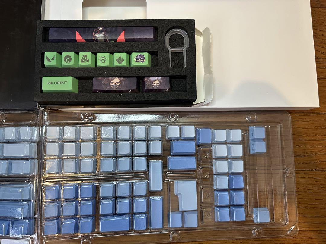 Amazon.com: Realforce GX1 Black TKL RGB Double Shot ABS