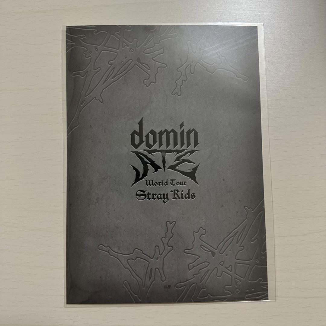 スキズ フィリックス Felix ラントレ domin ATE JAPAN 公式