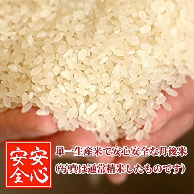 5【新米／最高品質】玄米／精米／安心安全／お米／コシヒカリ