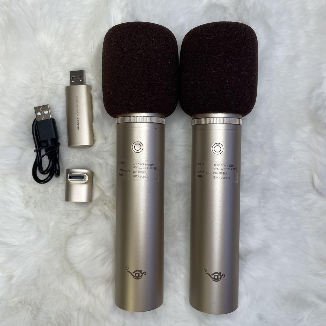 Aladdin Mic 2　2本セット　アラジン マイク2