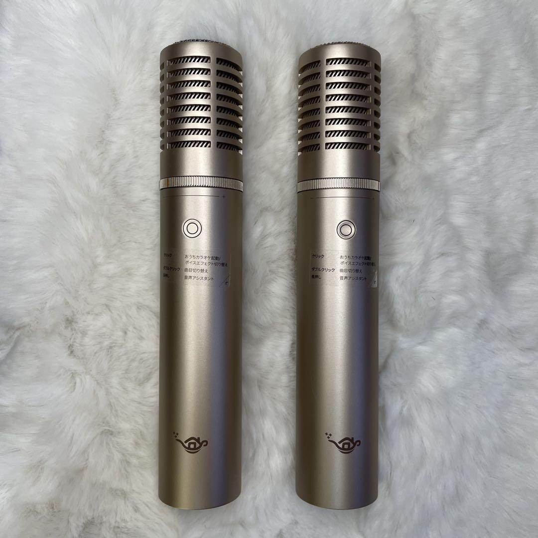 Aladdin Mic 2　2本セット　アラジン マイク2