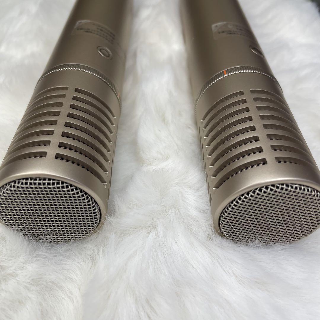 Aladdin Mic 2　2本セット　アラジン マイク2