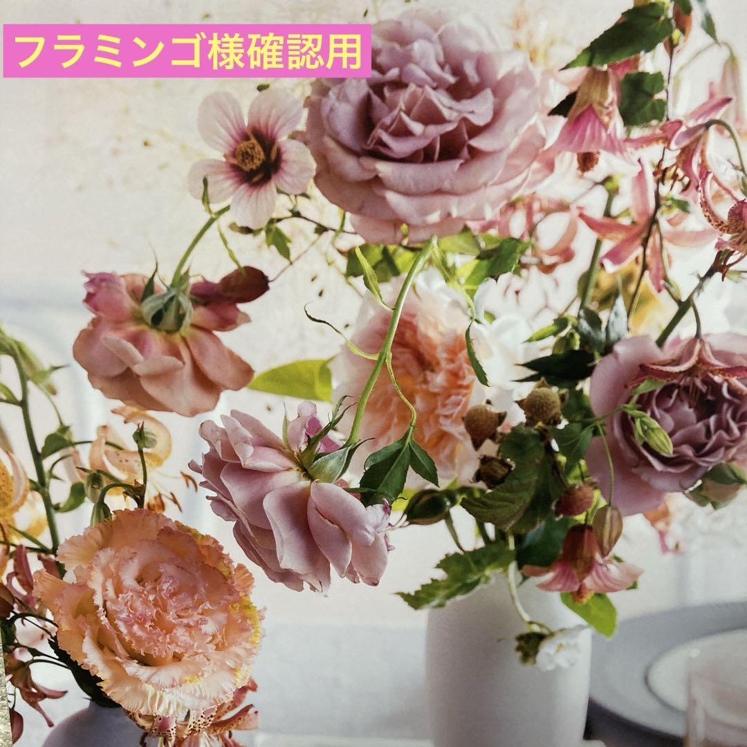 フラミンゴ様確認用