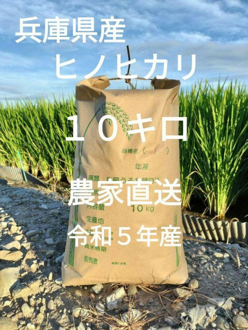 新米】【農家直送】令和6年産 新潟県産岩船産コシヒカリ 10kg