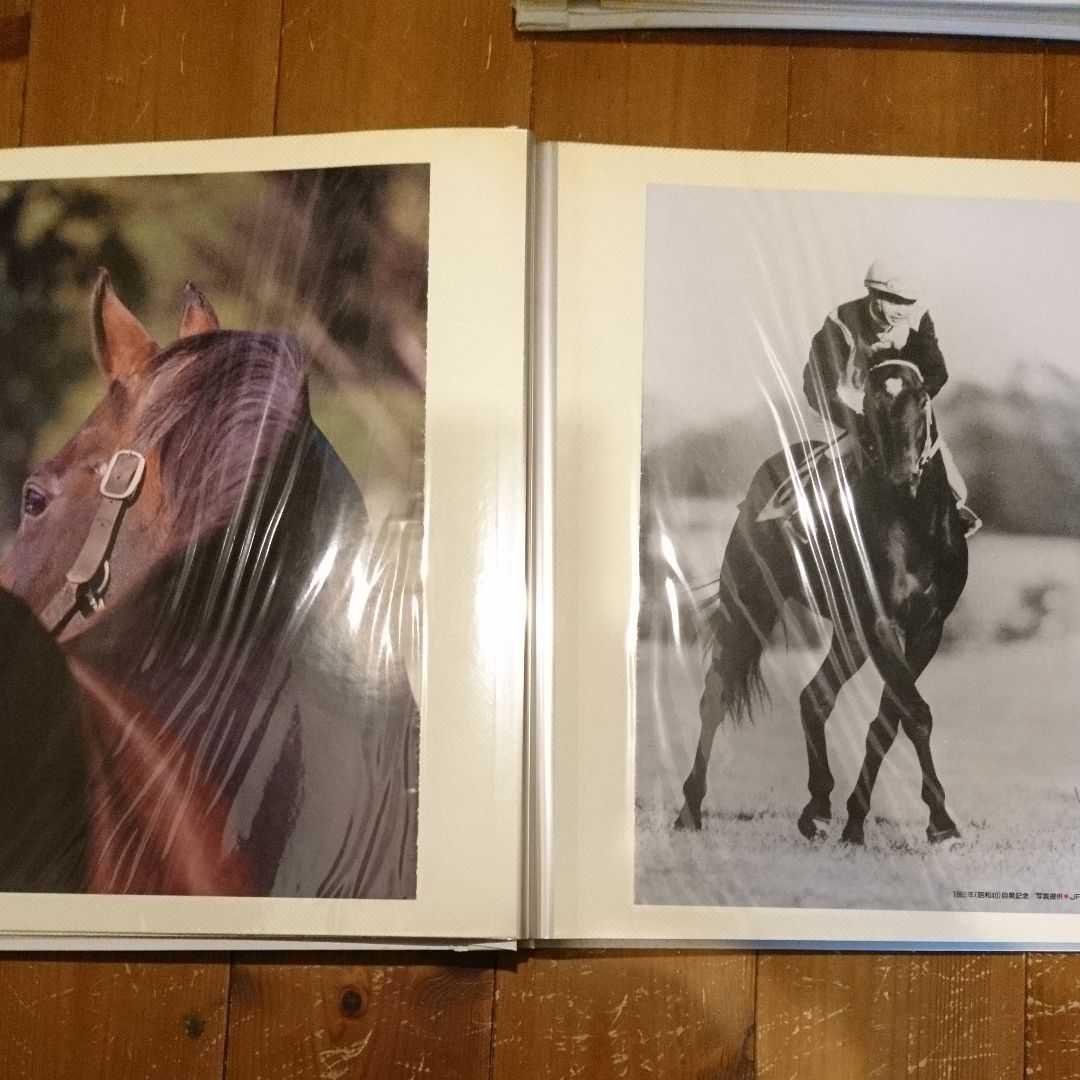 2022定番人気 競馬 ミホシンザン写真 蹄鉄印 mJwTi-m88637472711 シンザン 限定品お得