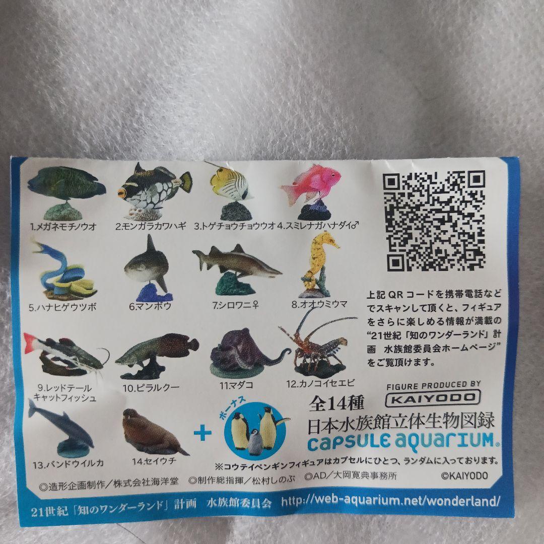 【予約中！】 全14種 日本水族館立体生物図録 海洋堂 しながわ水族館 メルカリ - その他