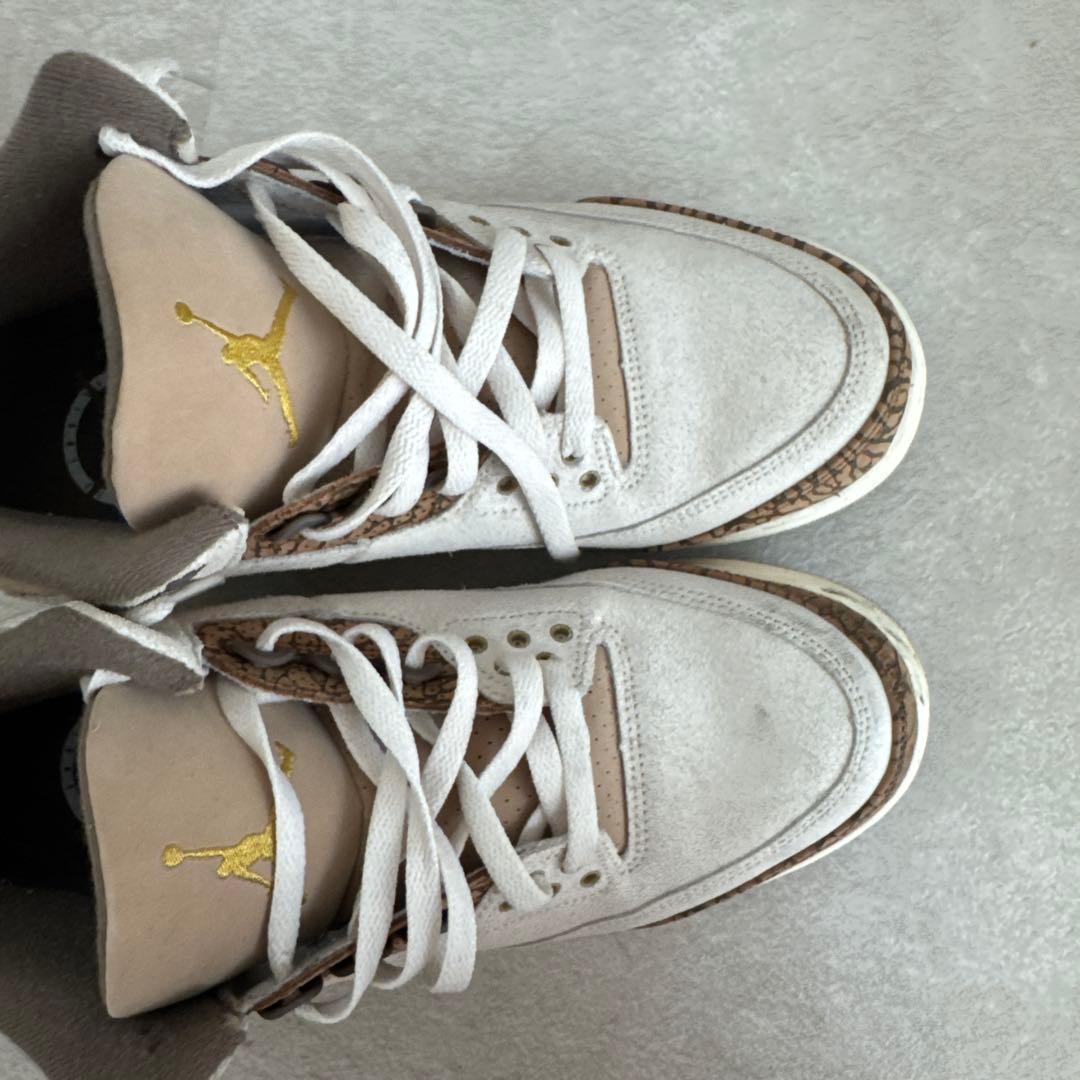 Air Jordan 3 Retro “Palomino”
