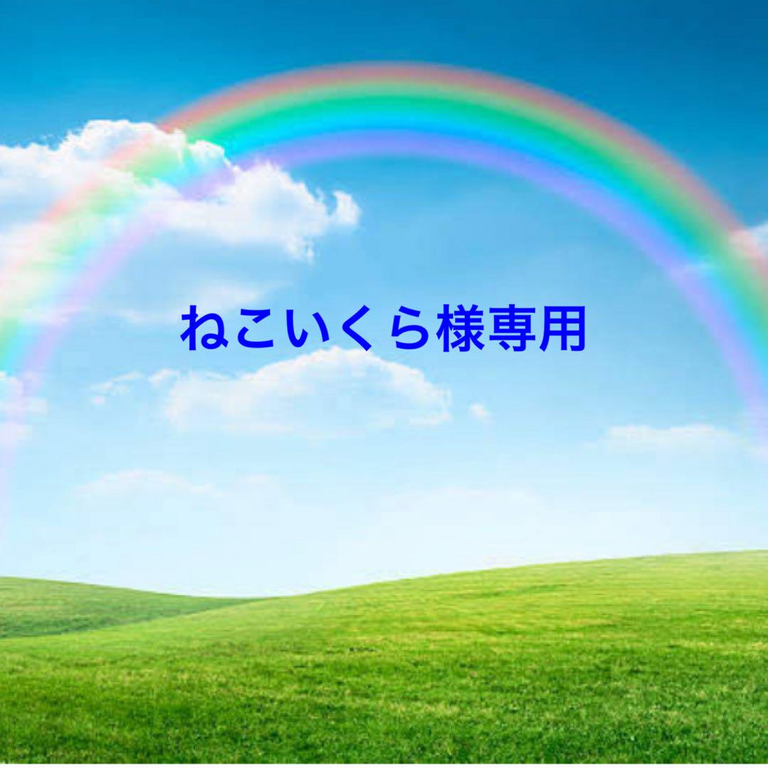 新体操　競技用レオタード　衣装　コスチューム　装飾