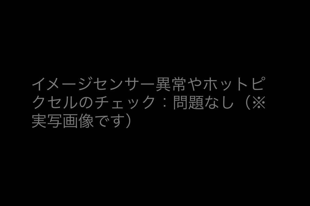 中◎検査済CanonキヤノンPowerShot