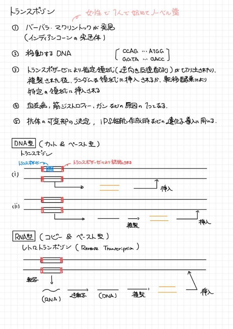 2024改訂版 エッセンシャル細胞生物学 自作問題集