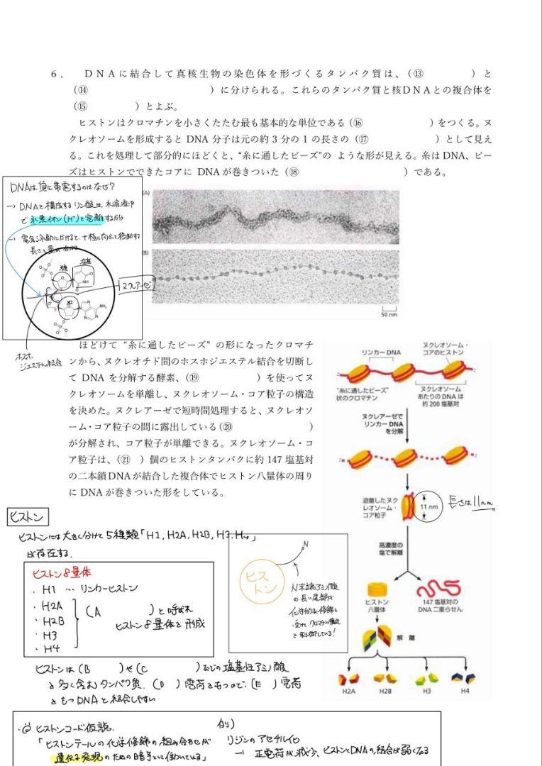 通販 2024改訂版 エッセンシャル細胞生物学 自作問題集 語学・辞書・学習参考書