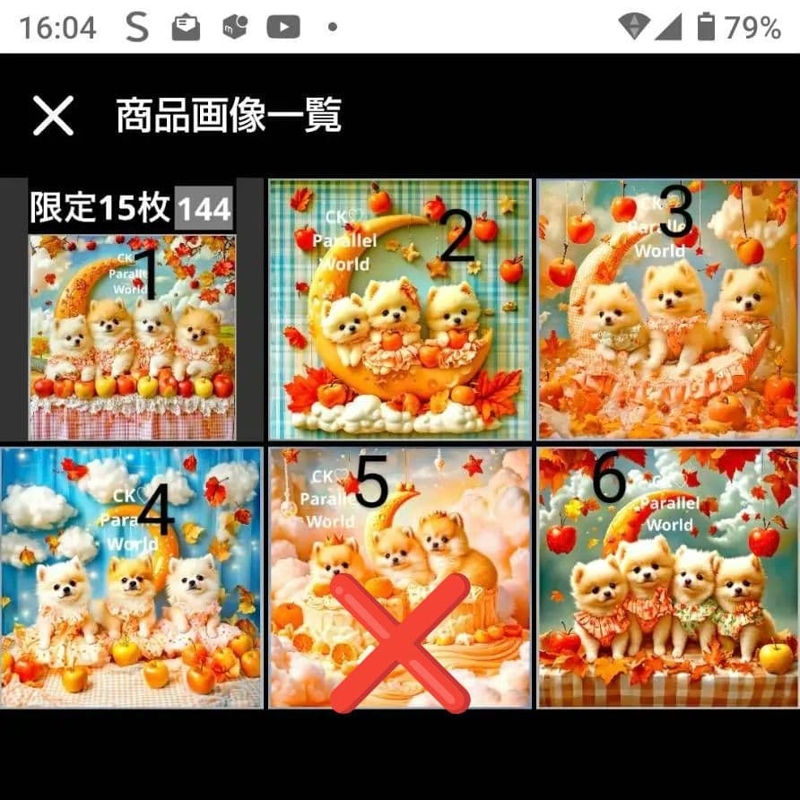 530 ,オーダー用パネル ポメラニアン