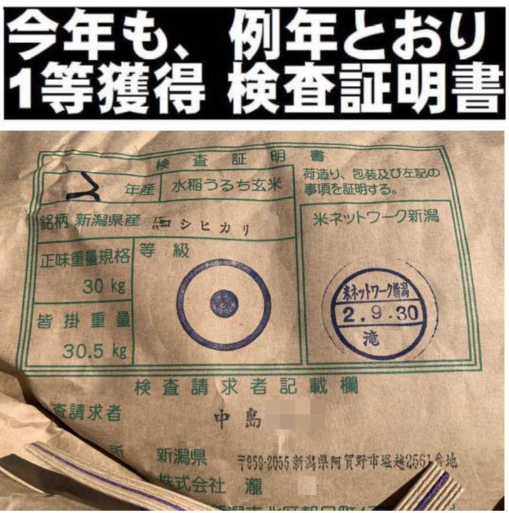 新米 精米無料 農家直送21 lAH0d-m88741214639 令和2年産玄米新潟コシヒカリ30kg 10kg×3 最新品低価