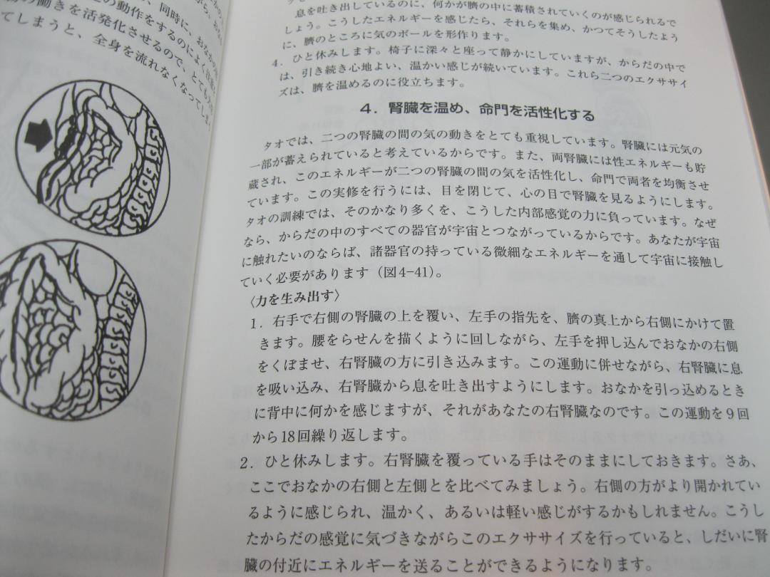 タオ人間医学 : 天地と融合するヒーリング・サイエンス - 健康