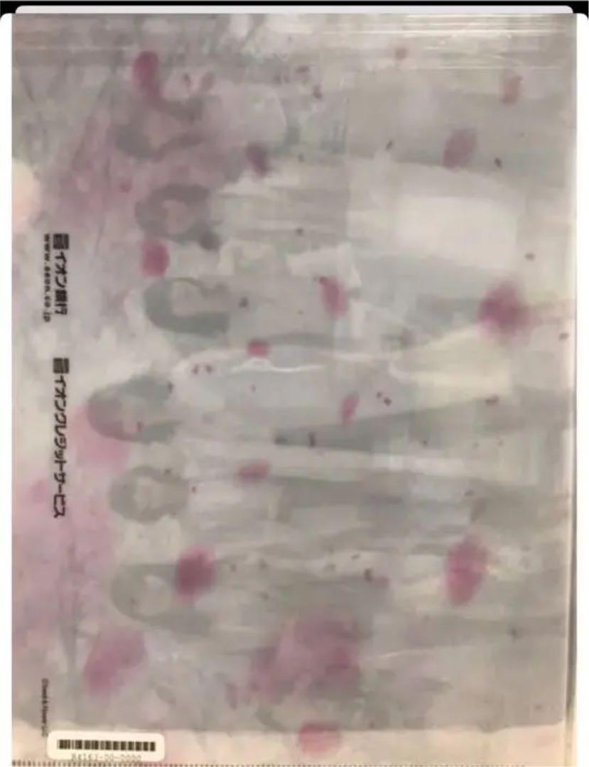 森田ひかる　欅坂46 生写真　クリアファイル　イオンカード　オリジナルブロマイド Amazon.co.jp: 森田ひかる 欅坂46 生写真 クリアファイル イオン