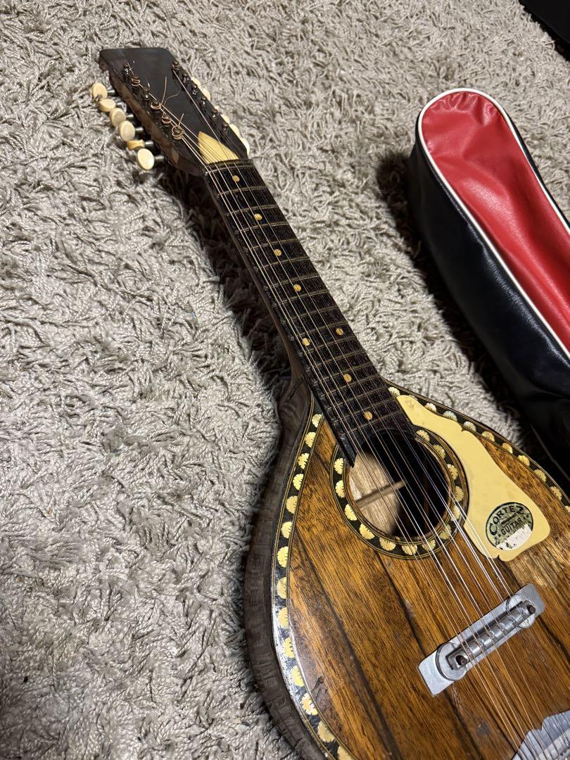 CORTEZ GUITAR 12弦フラットマンドリン ケース付き