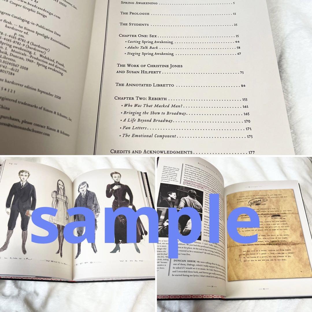 ミュージカル春のめざめSpring Awakening:In the Flesh ミュージカル春のめざめSpring Awakening:In the Flesh