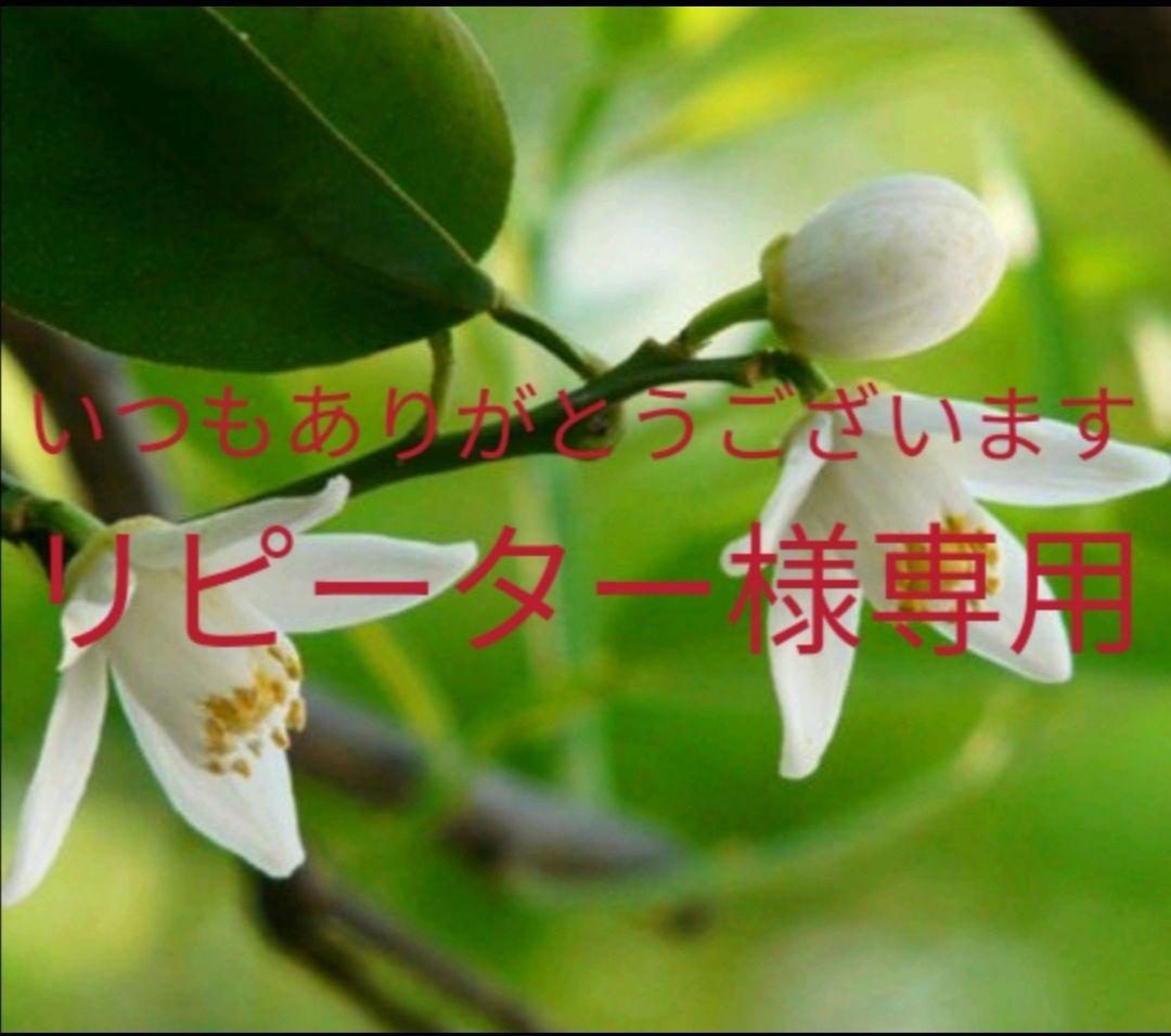 112701マツエク、ツケ睫毛卒業！色素沈着なし効果抜群無添加まつ毛美容液 楽天市場】まつ毛美容液 卵由来 ヒト幹細胞 伸びる 色素沈着なし