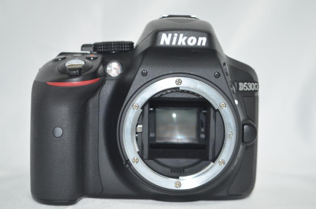 Nikon - シャッター数2800回以下☆Nikon D5300☆初めての一眼