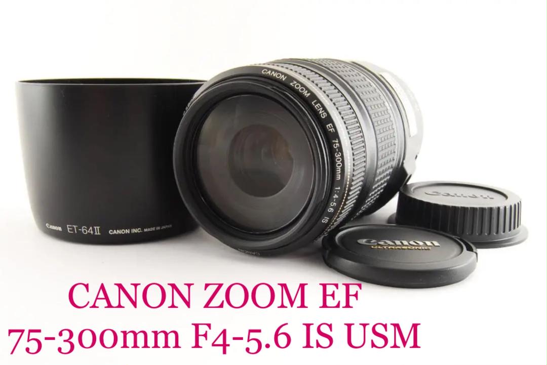 キヤノン CANON EF 75-300mm F4-5.6IS USM 国内外の人気集結! キヤノン CANON EF 75-300mm F4-5.6IS USM 国内外の人気集結!
