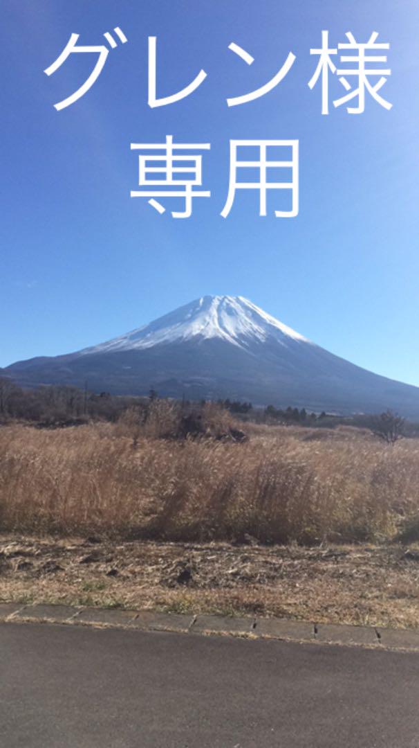グレン様専用　管理番号3087 1685分です。