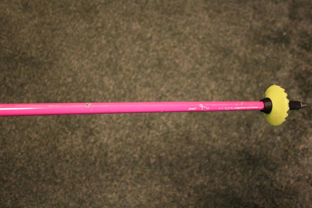 LEKI SL用ストック（110cm カーボン・ピンク）＋ パンチガード