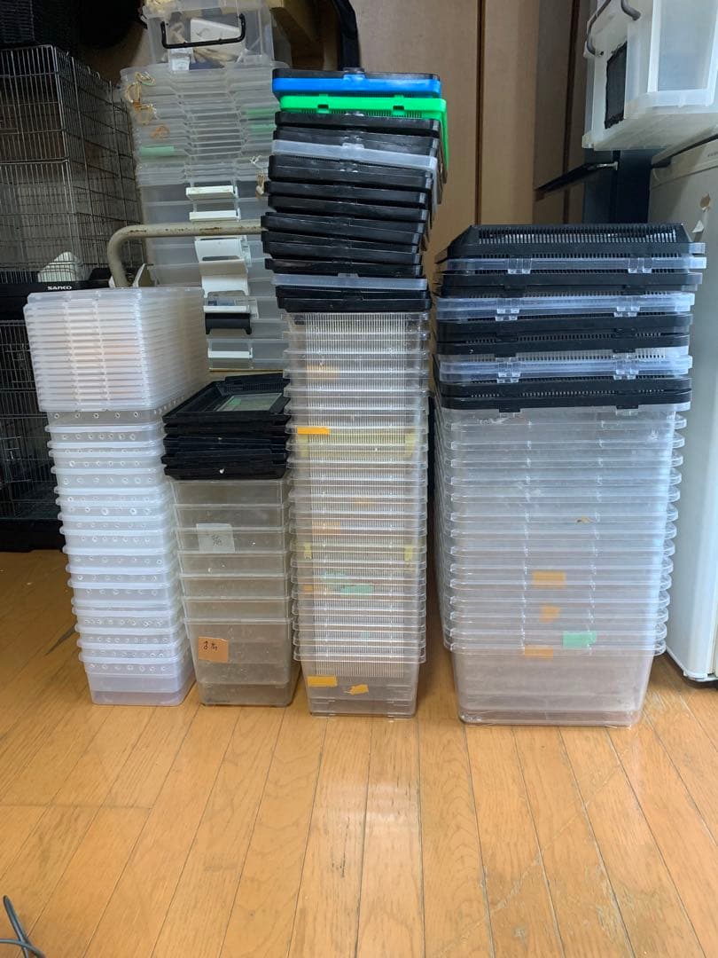 爬虫類 飼育ケース目立った傷や汚れなし