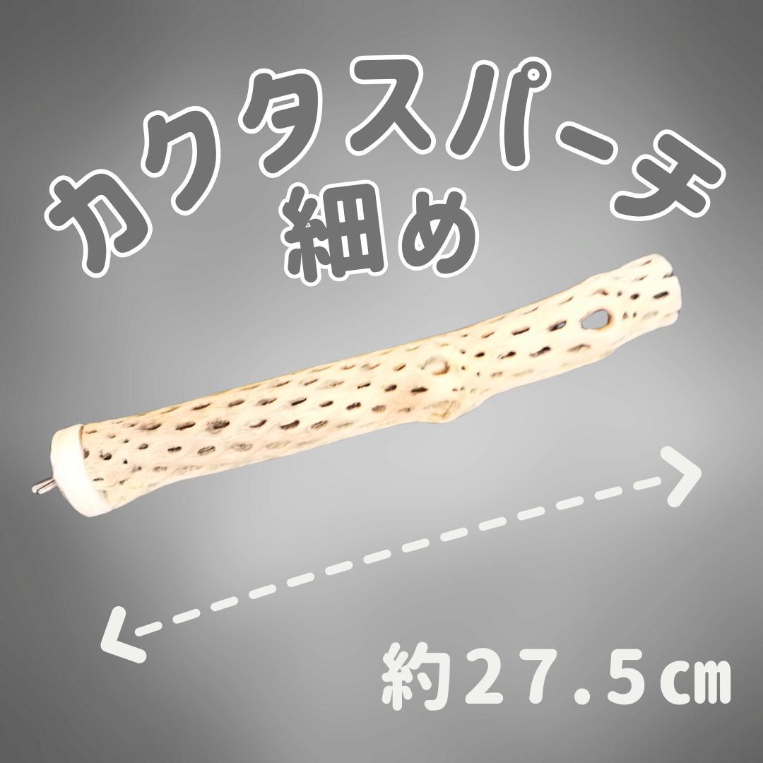 m　鳥用品　止まり木　カクタス　スケルトン　パーチ　細め 鳥用品 止まり木 カクタス スケルトン パーチ 小さめ No.600